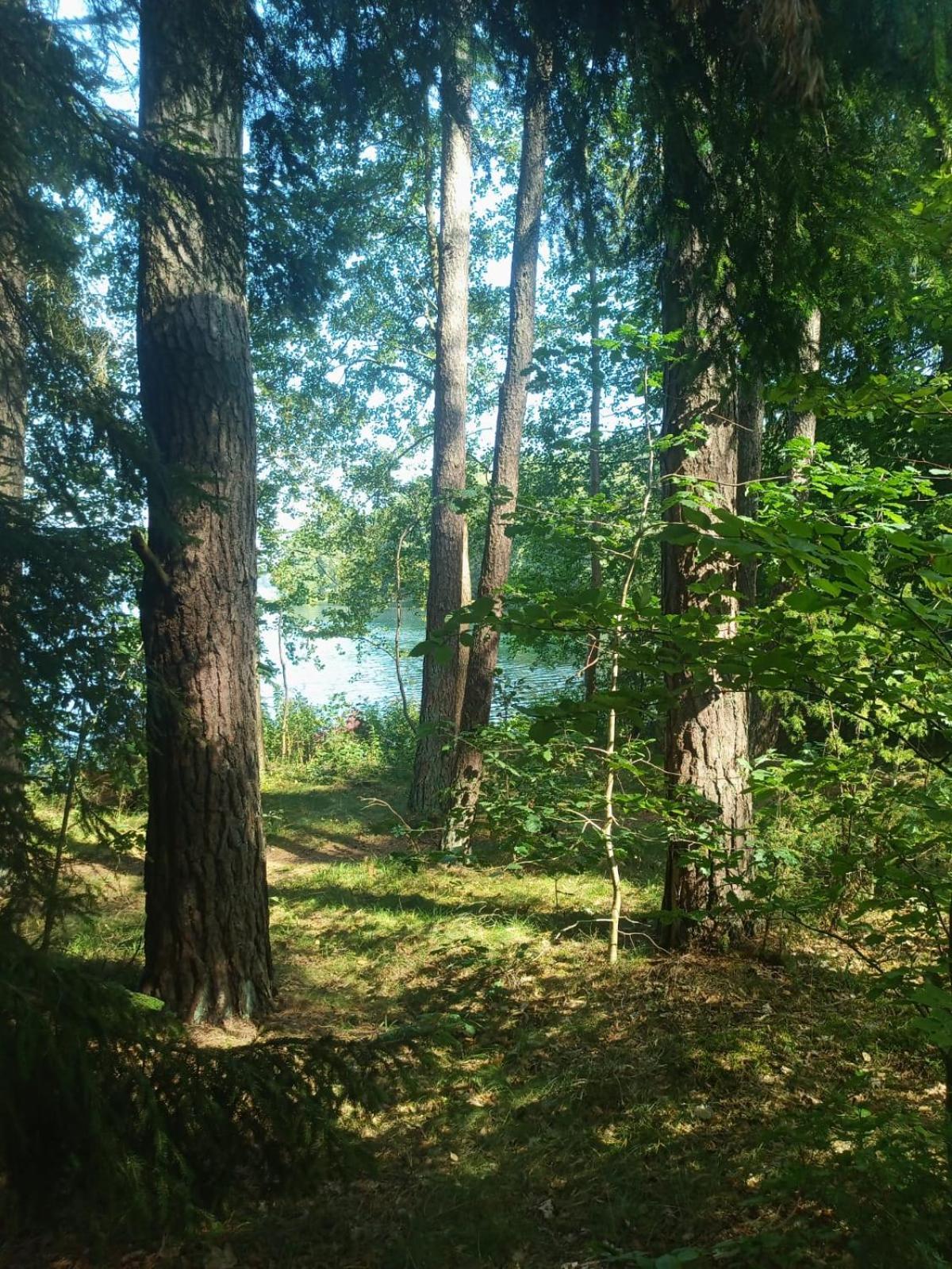 Domek Na Kaszubach, Borowy Mlyn, Jezioro Gwiazda, Sauna, 3 外观 照片